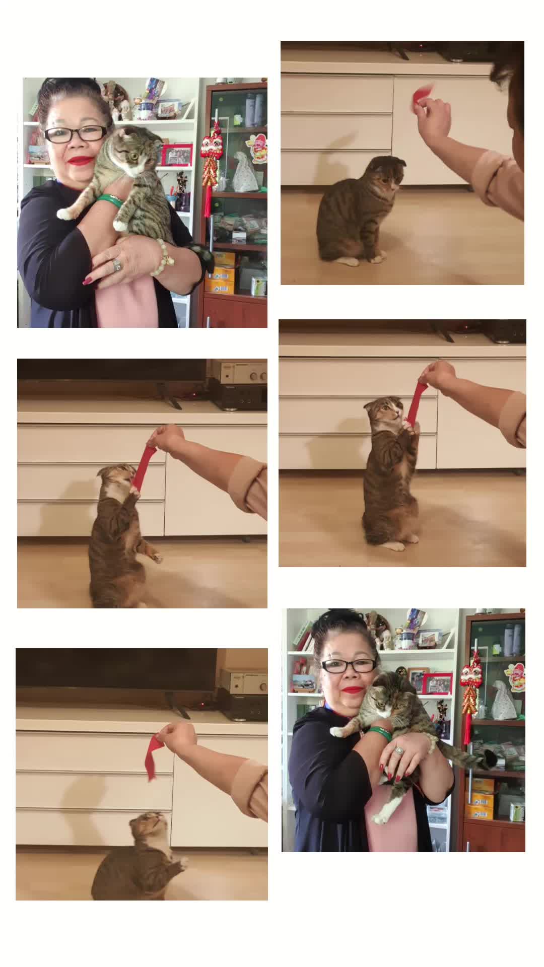 @Bạch yến hoàng