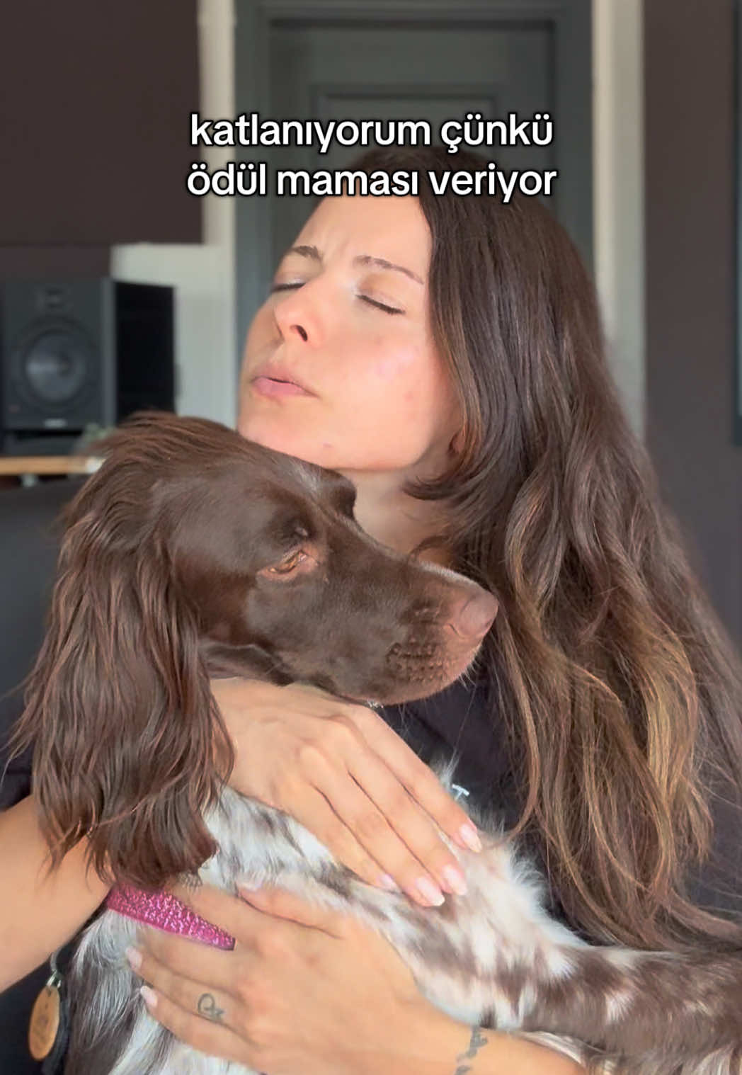 @egevemini