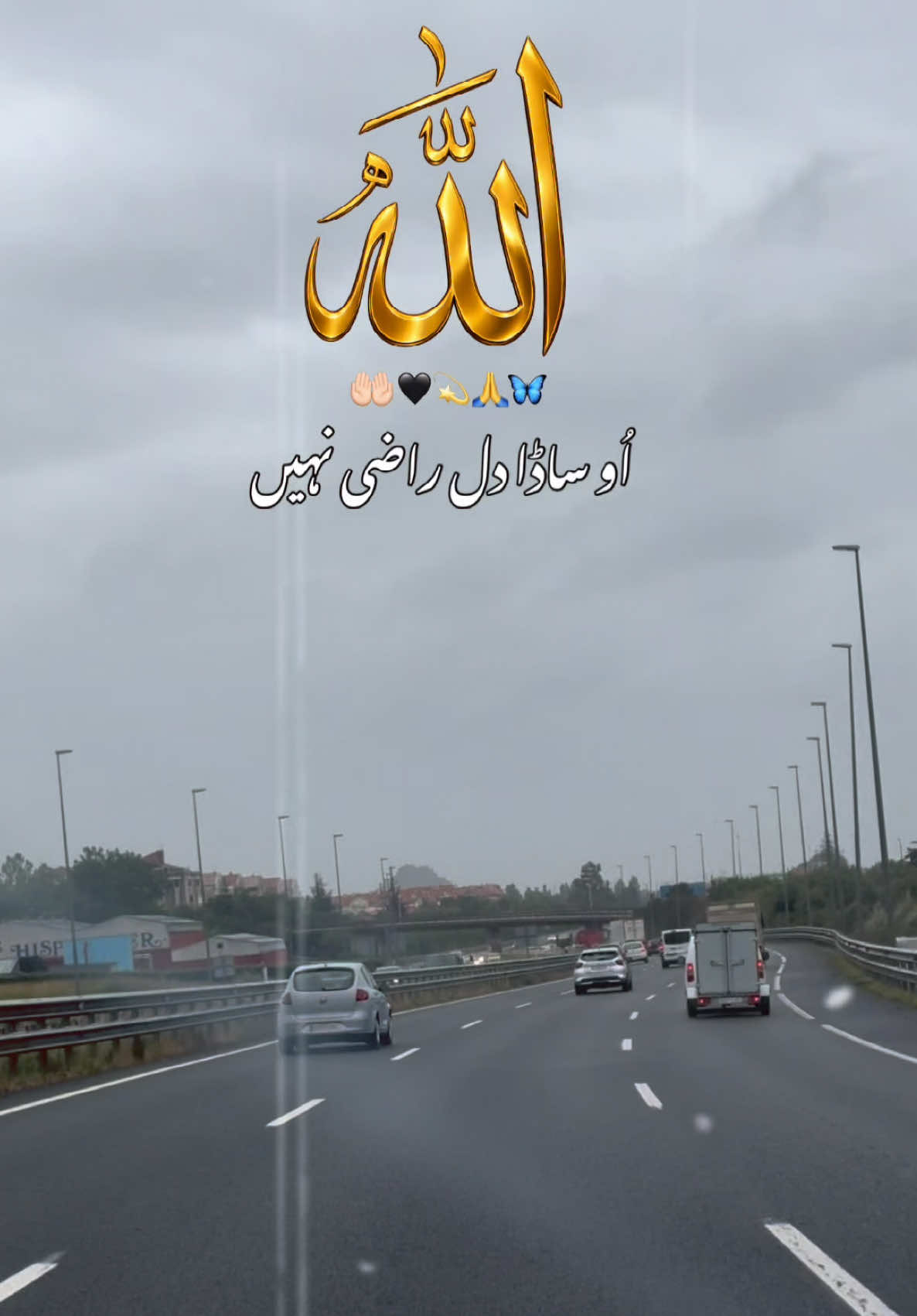 @Dr Sana 4696
