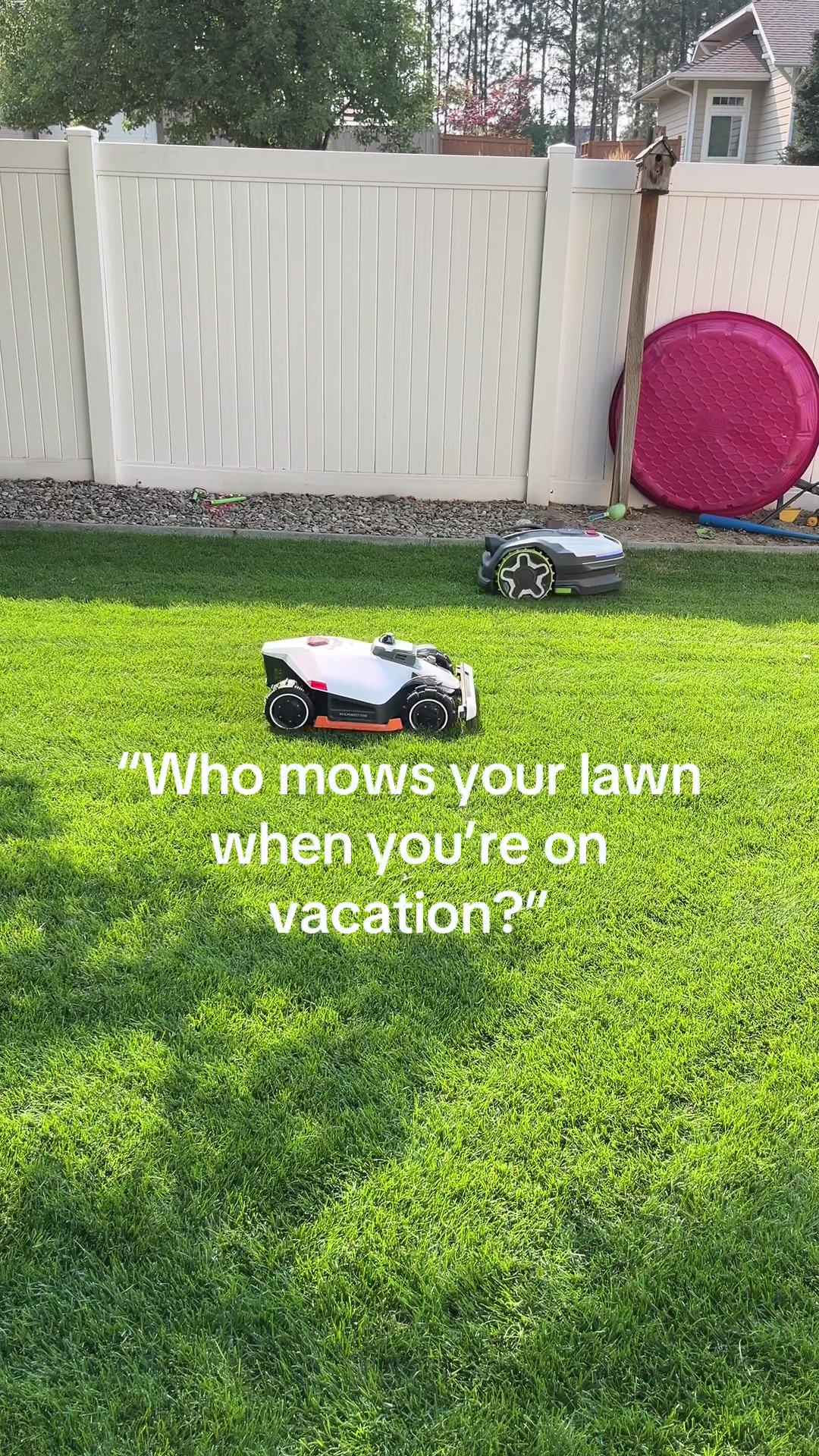 @Lawngest Yard