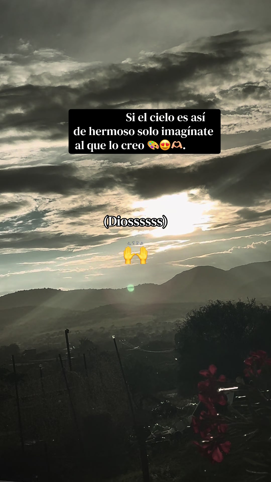 @Vianey 🌵❤️🔥🤌🏼
