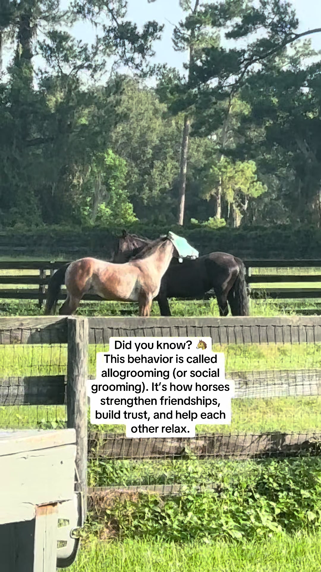@itiswellstables