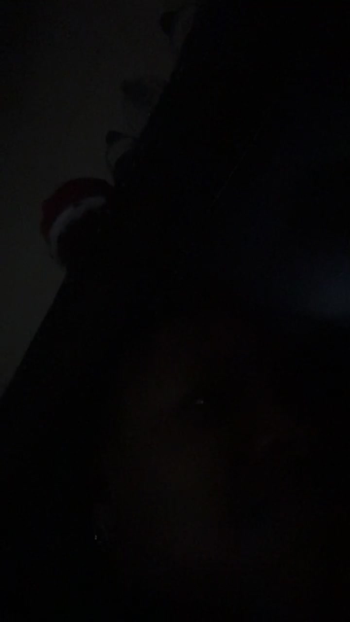 @denetriusbutler61