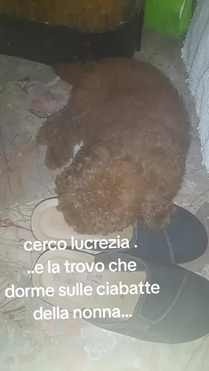 @titty margo lucrezia