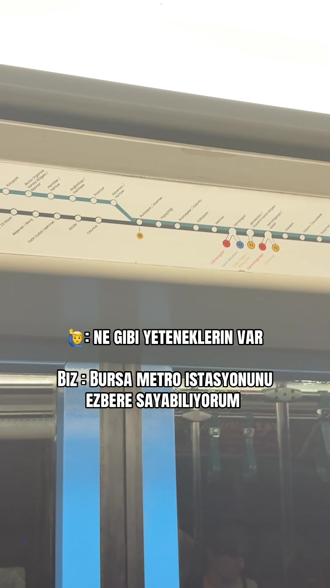 @zennurgzll
