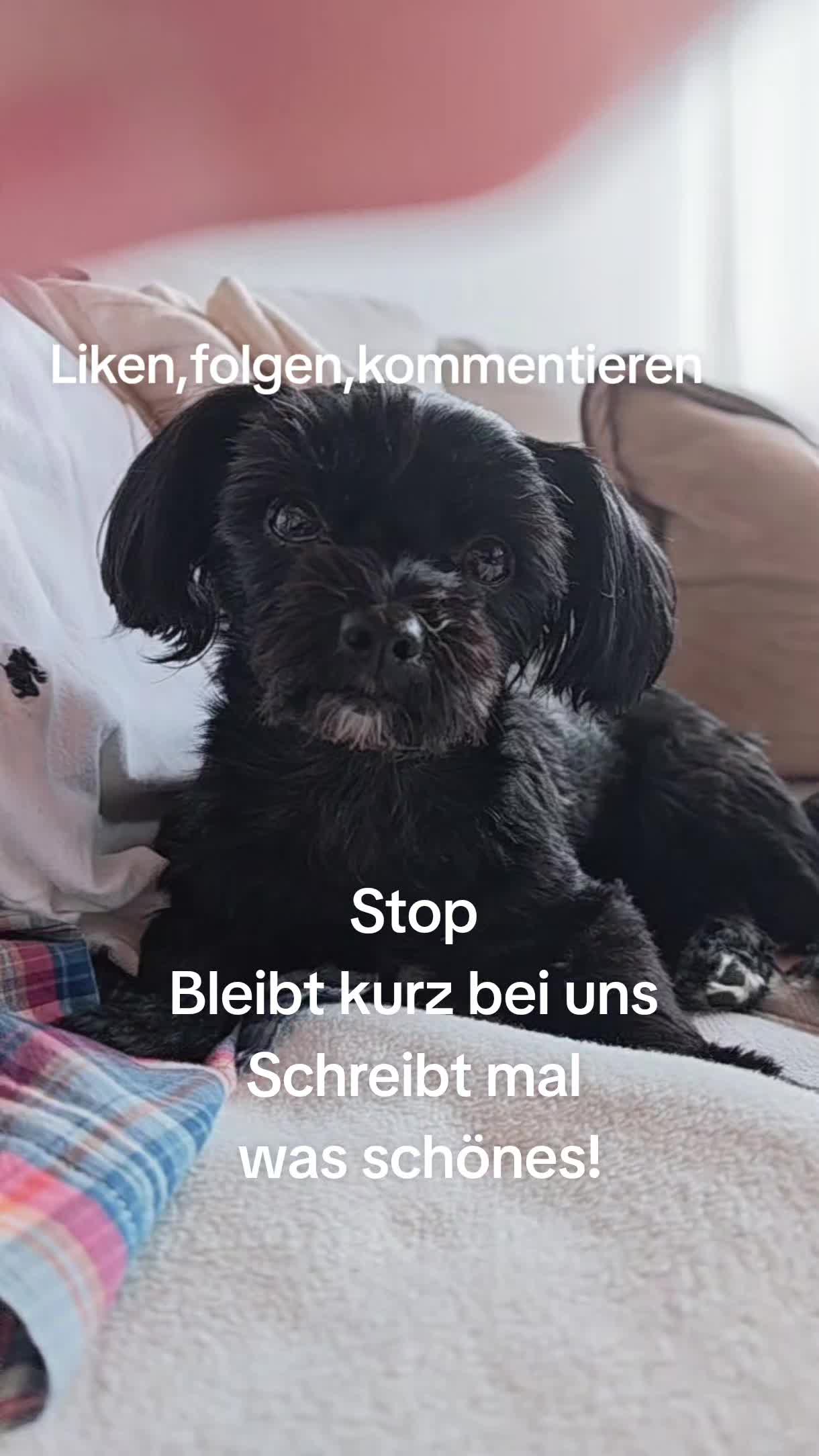 @P&ouml;ppi