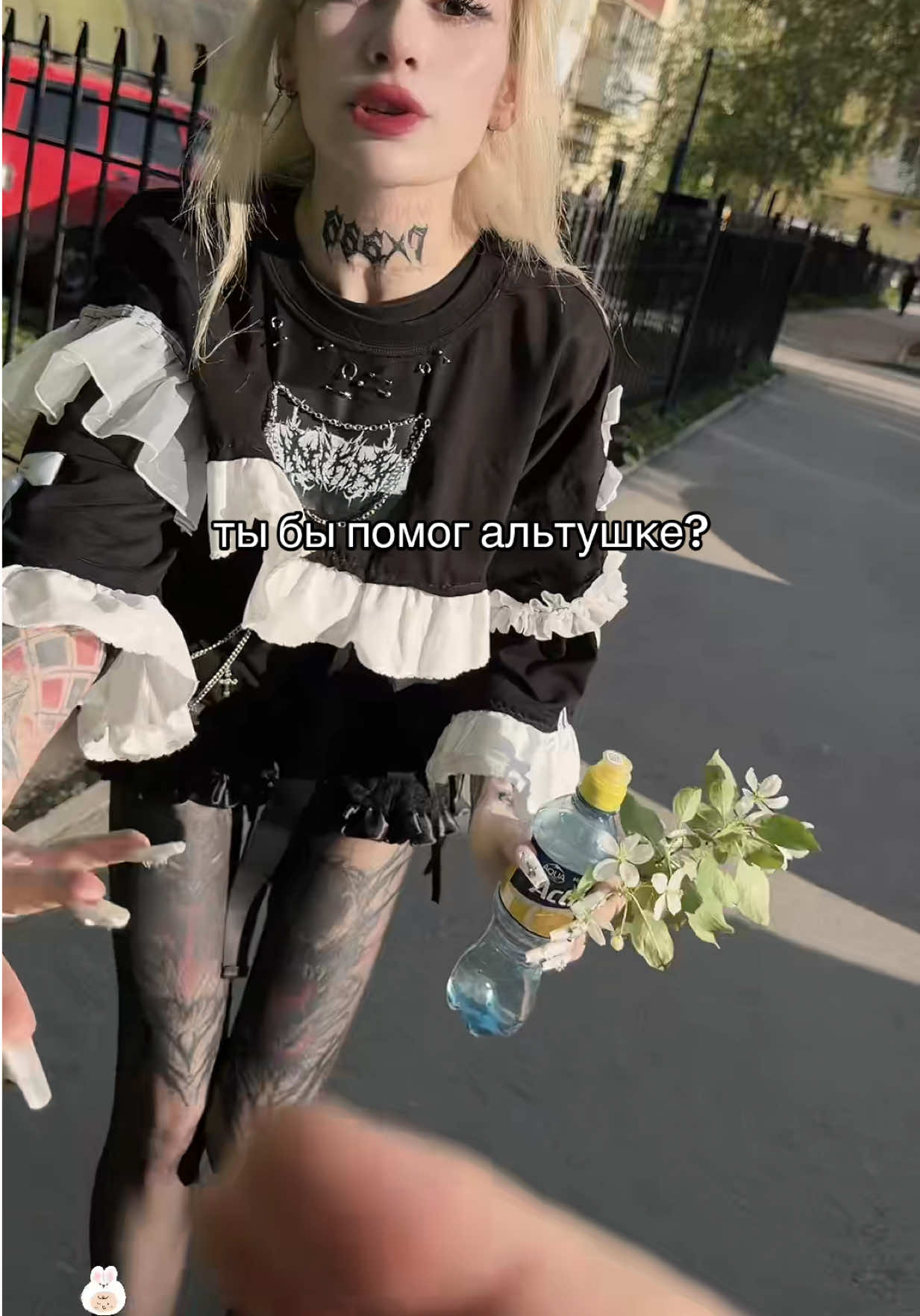 @Tramadoll