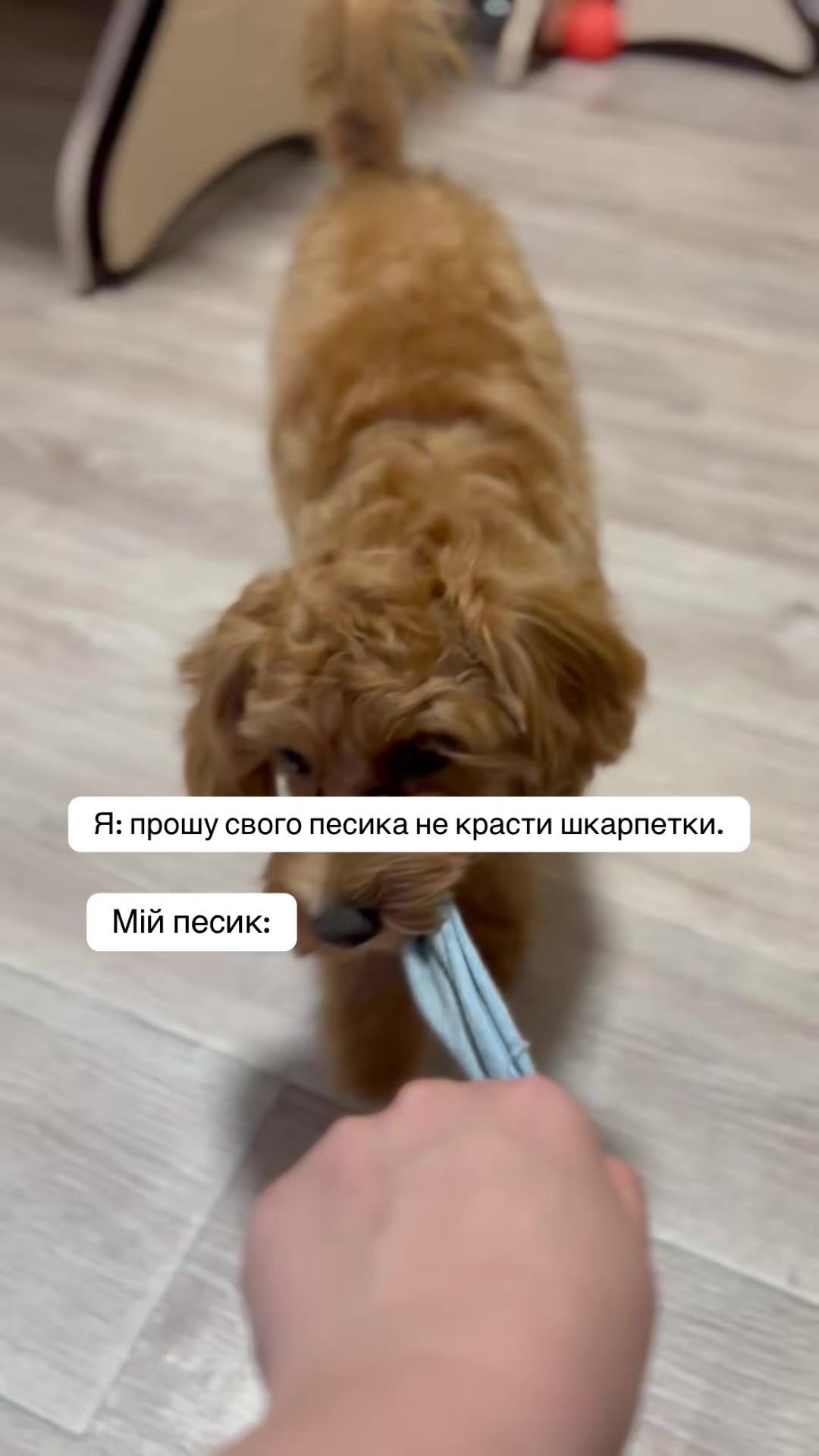 @asya_little