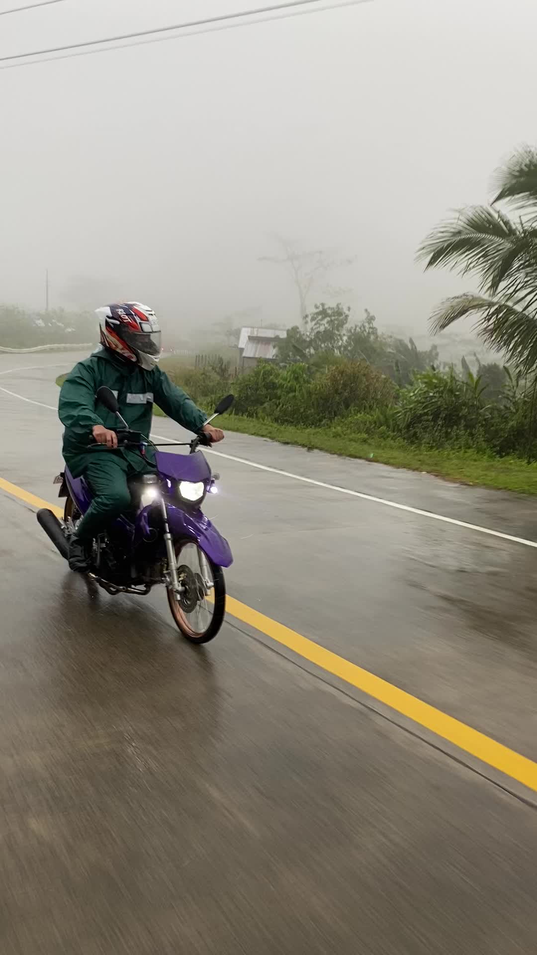 @HaroldT🇻🇳