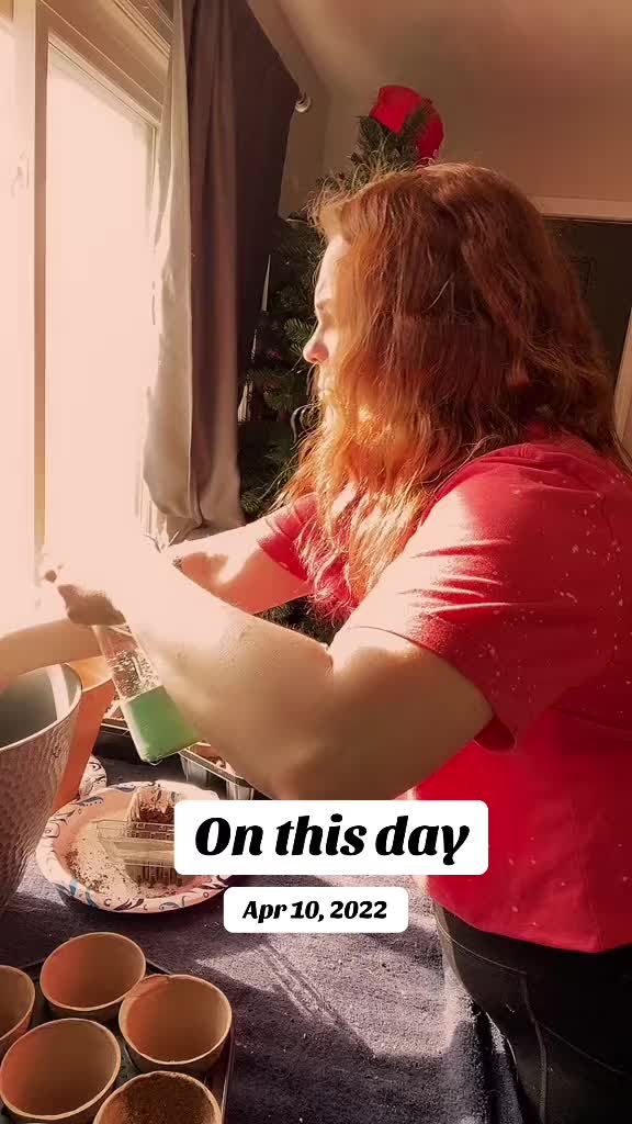 @dani.denee.reads 📚