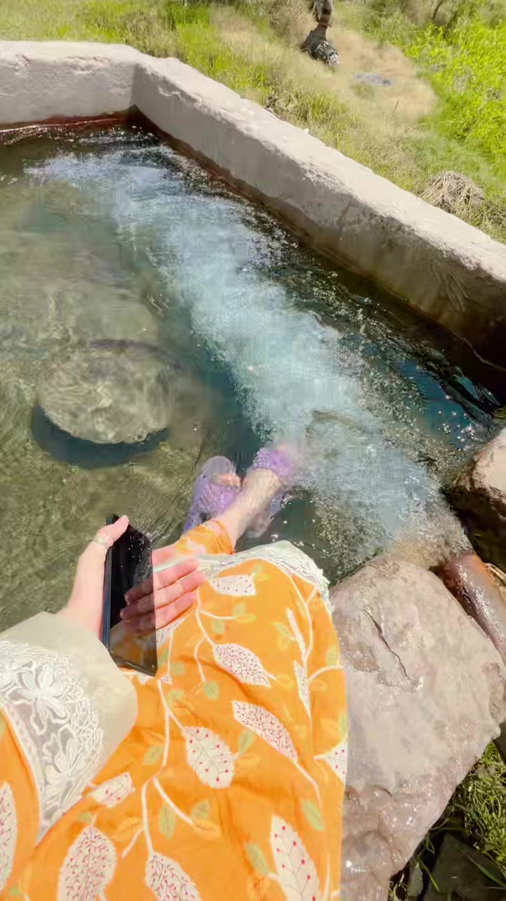@Malkani