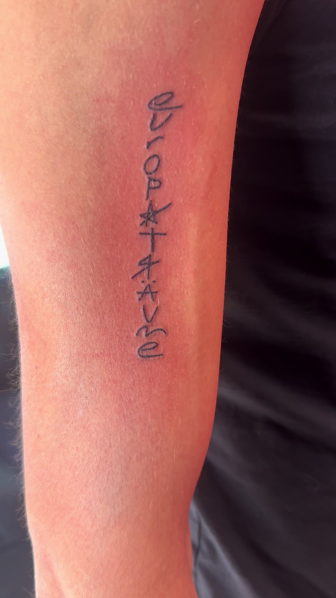 @Tatta Modena Ink