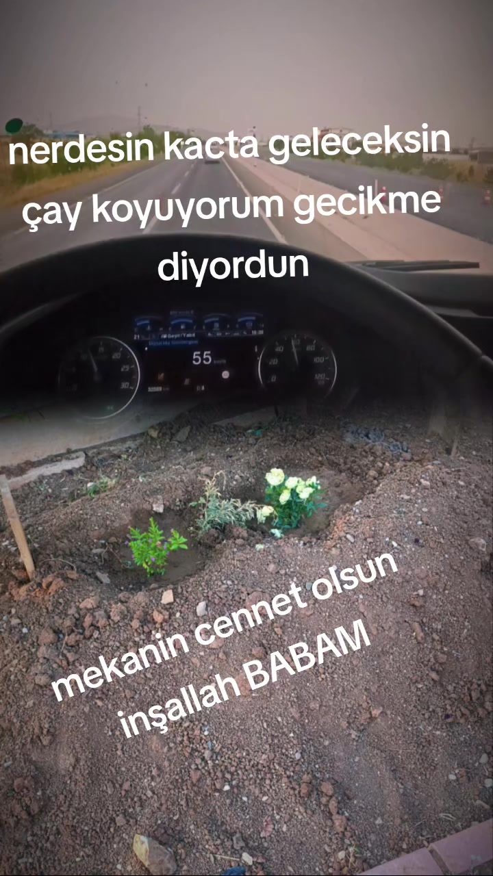 @murat 42