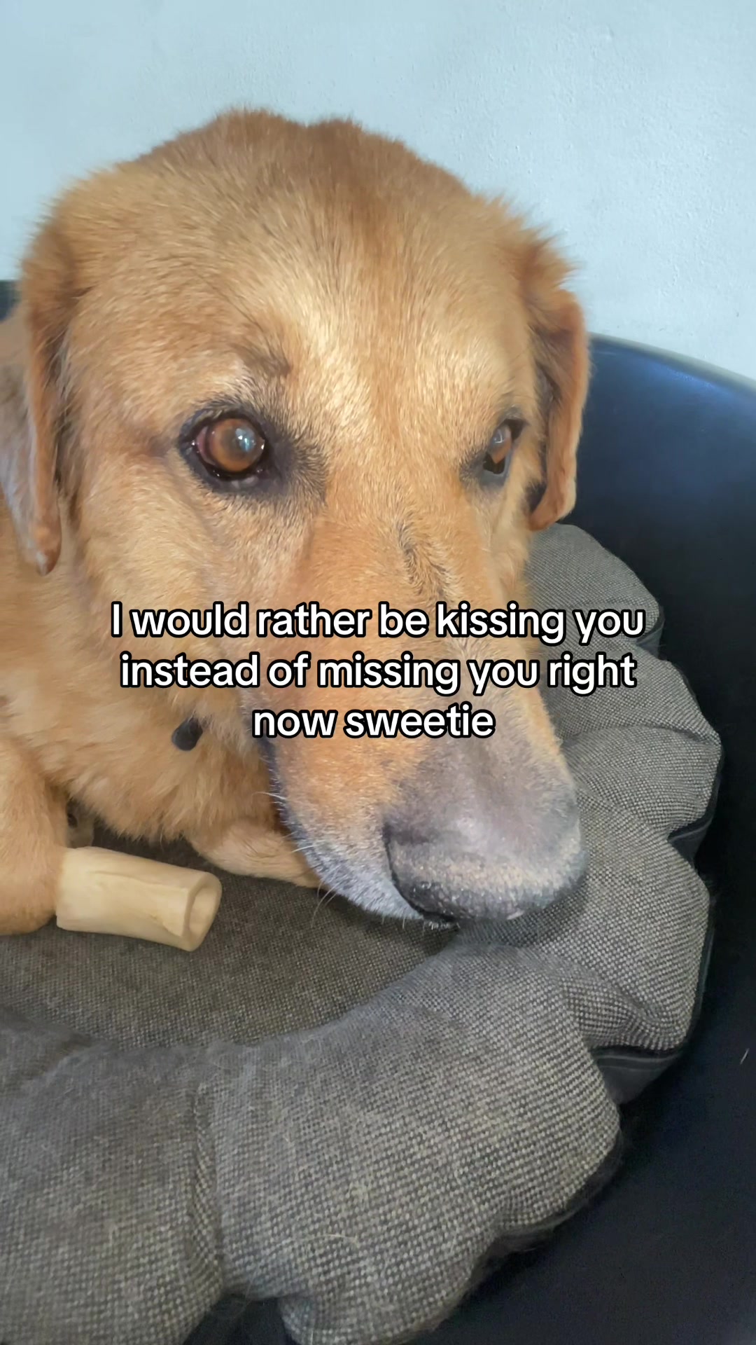 @Neo