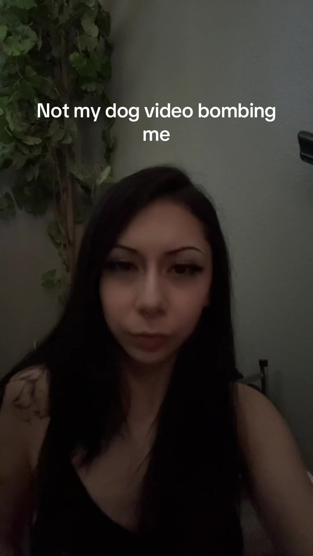 @ykufwsteph