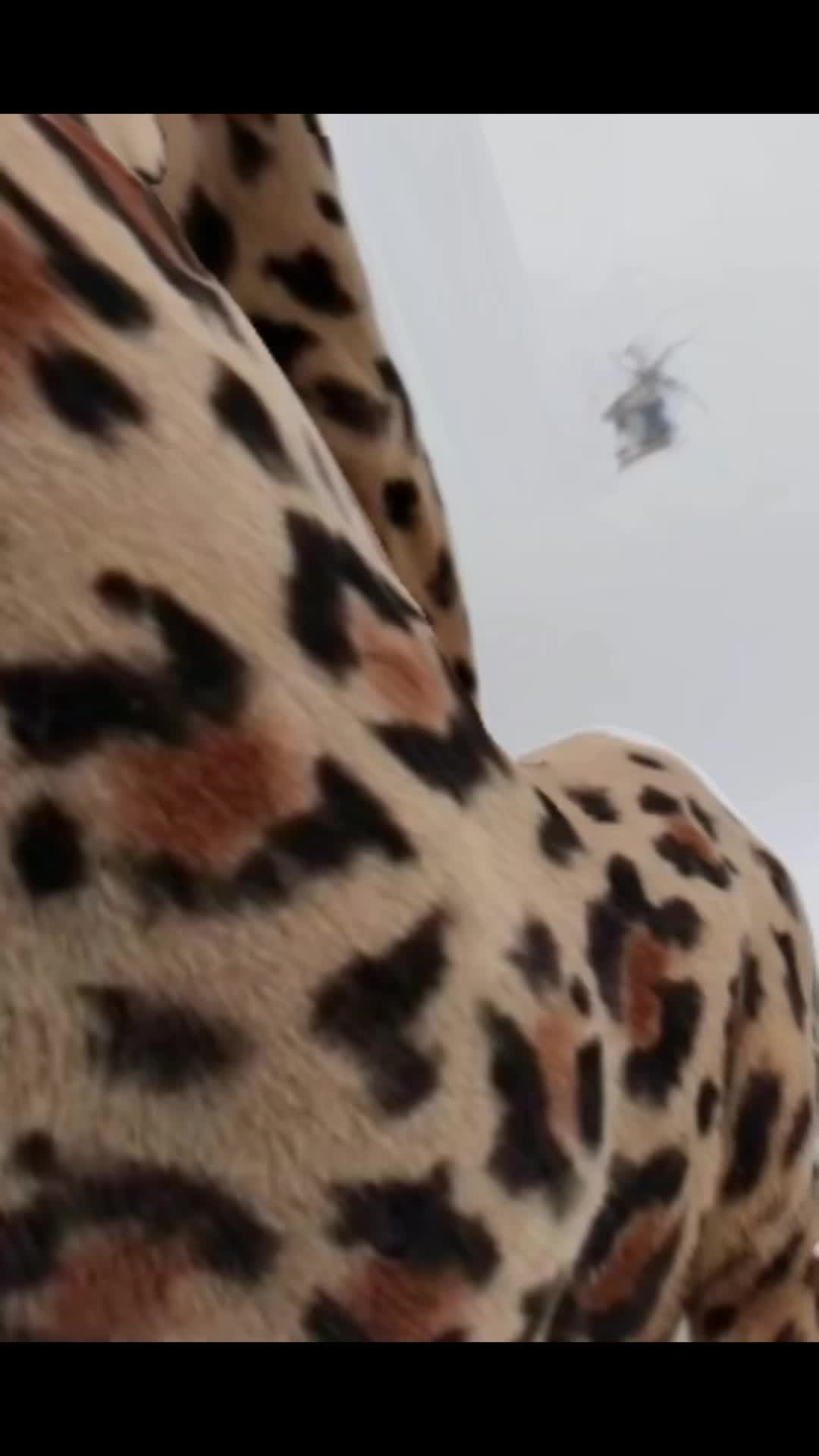 @cherry_wild143
