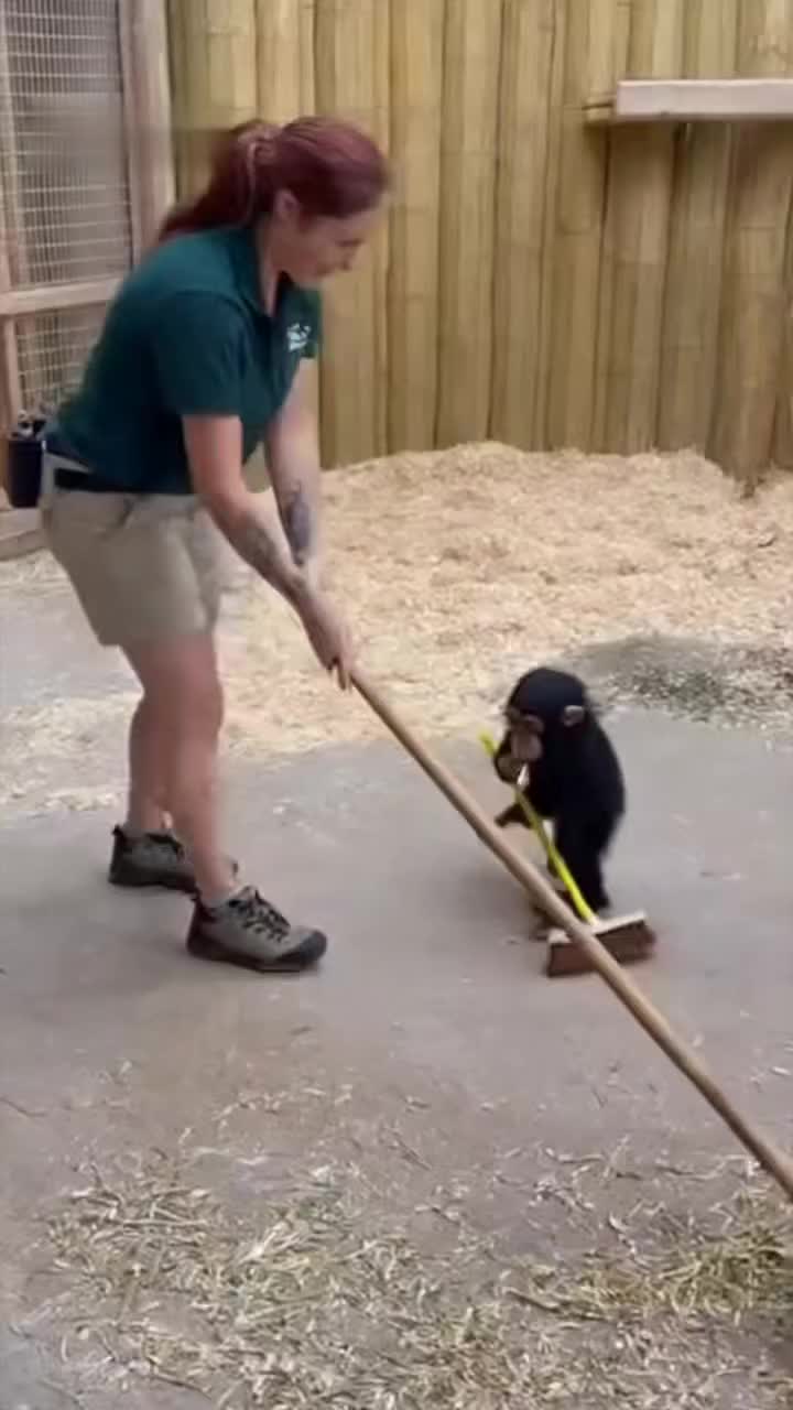 @Fox Lover