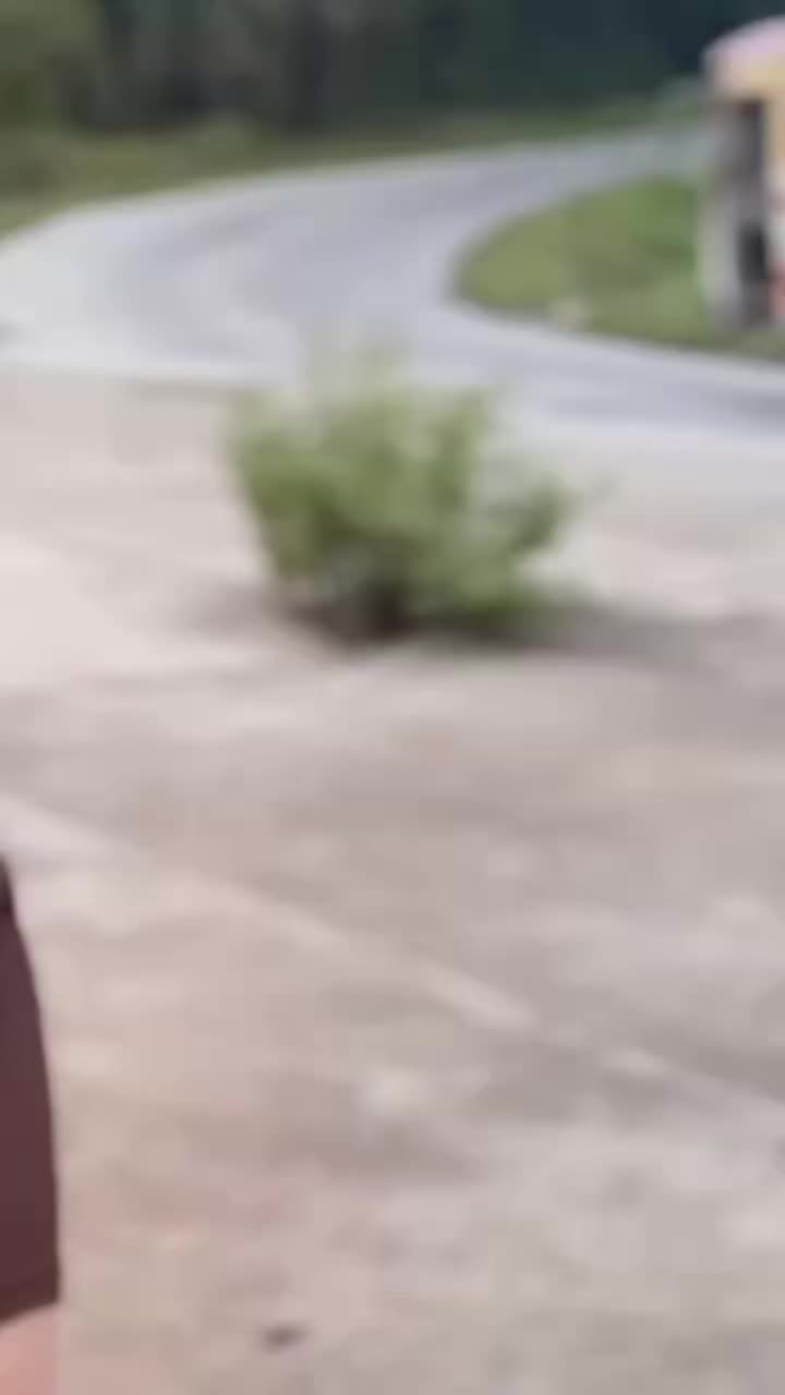 @๐ช๐๐๐๐