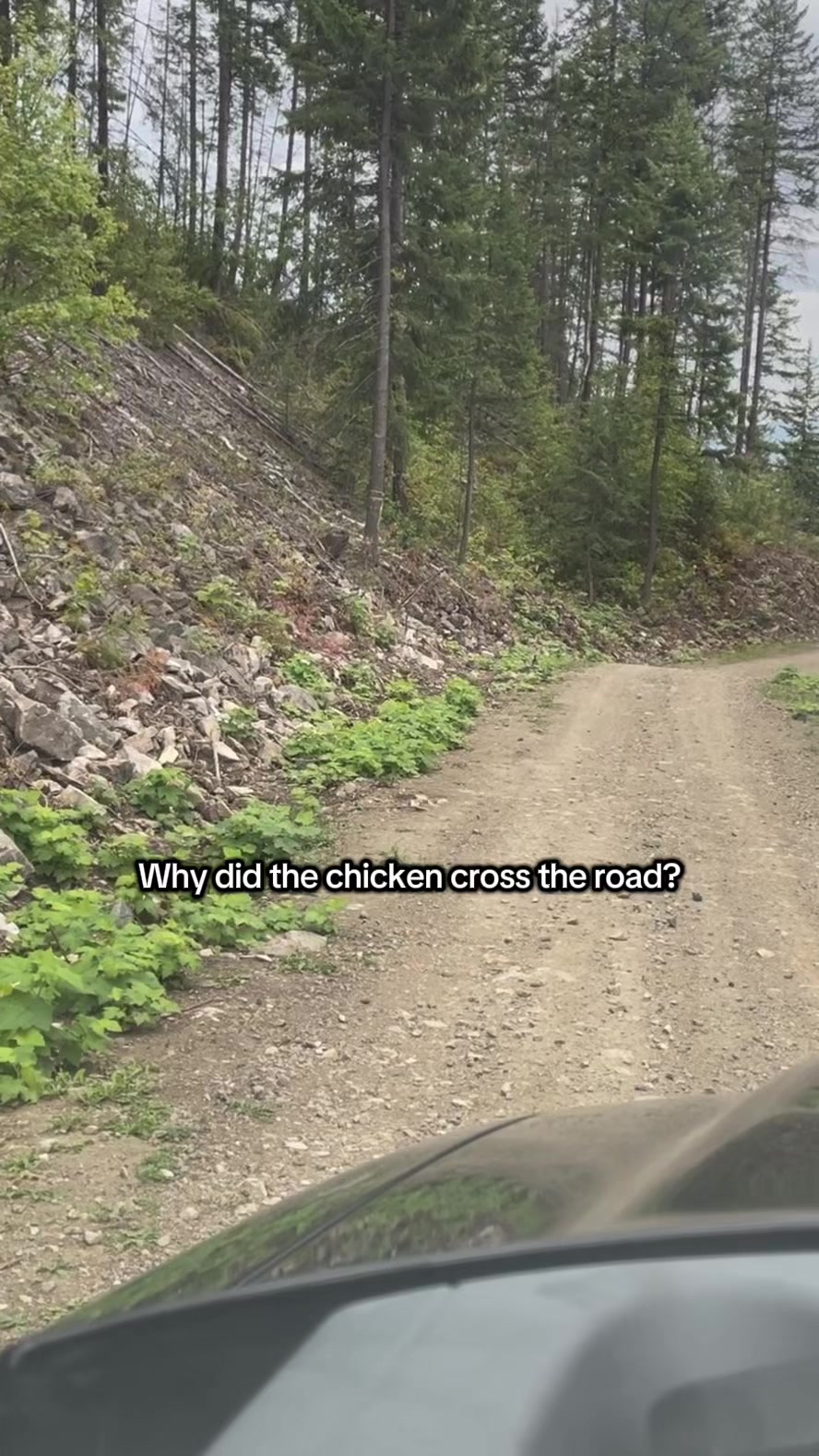 @Jack Ekholm