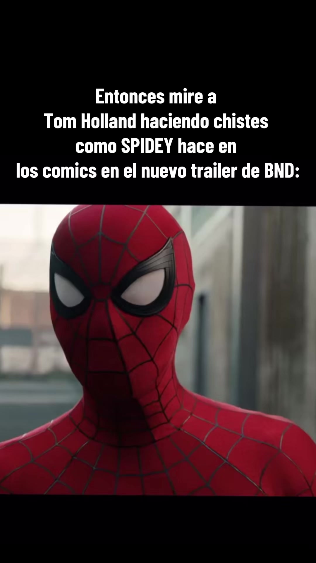 @Mr.Ar&aacute;cnido