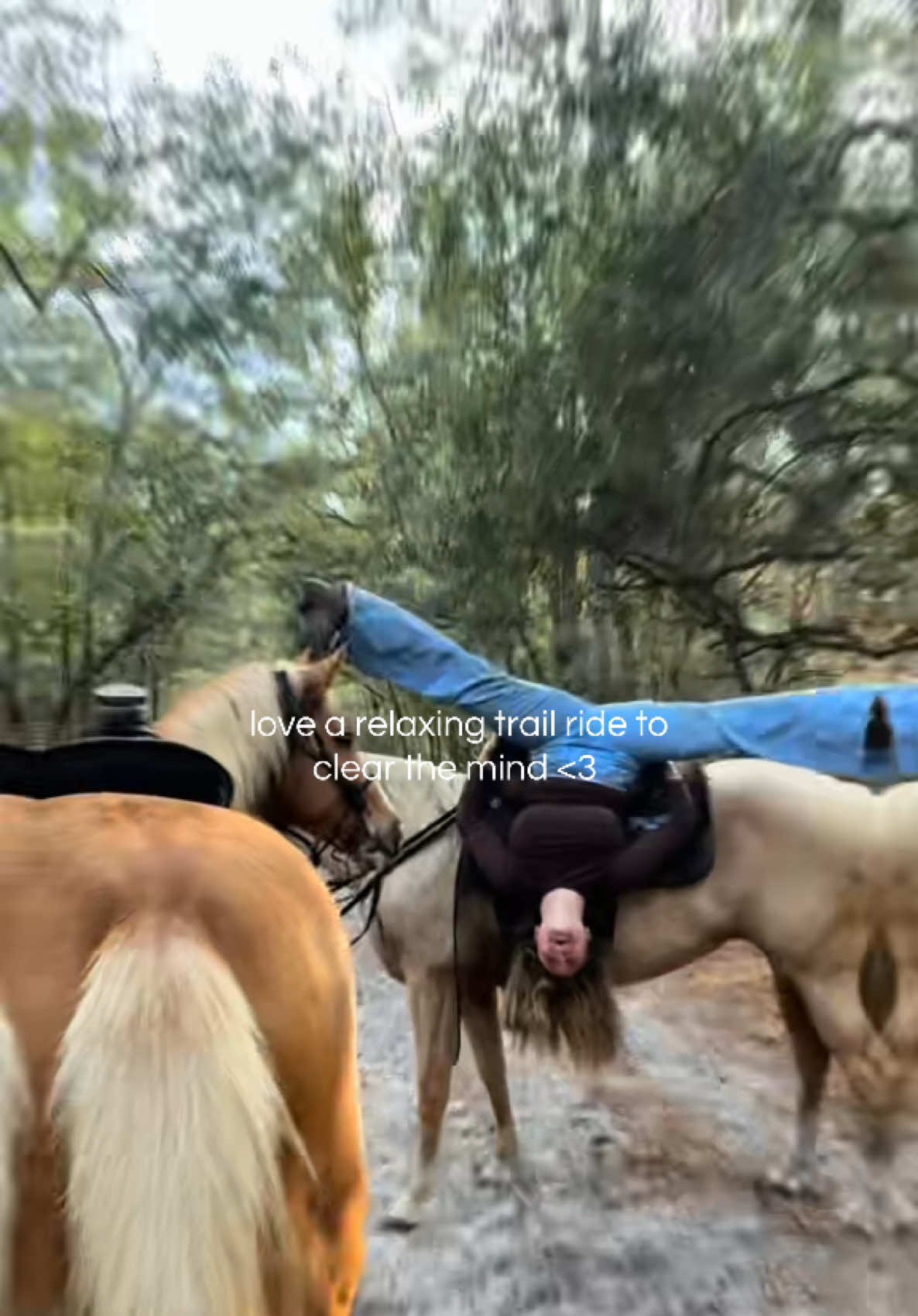 @🐆