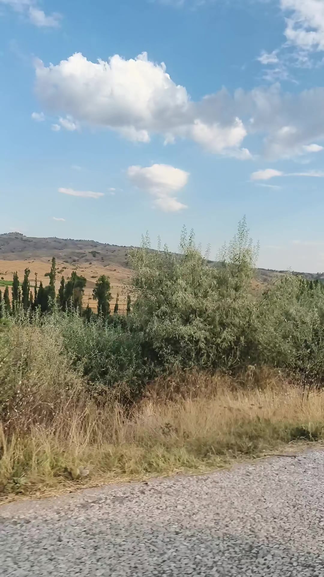 @İsa Şimşek