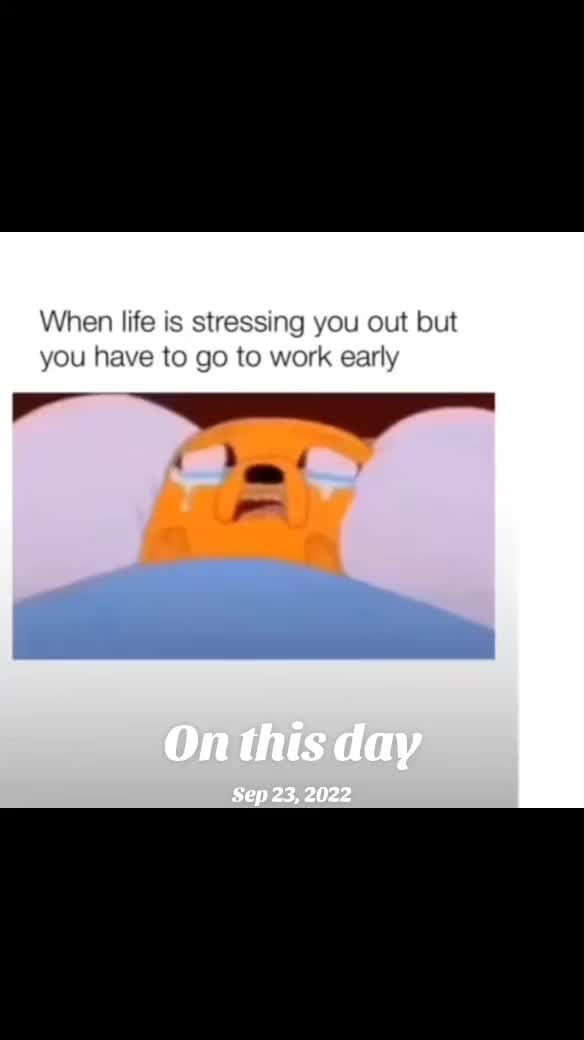 @Jose Magdaleno