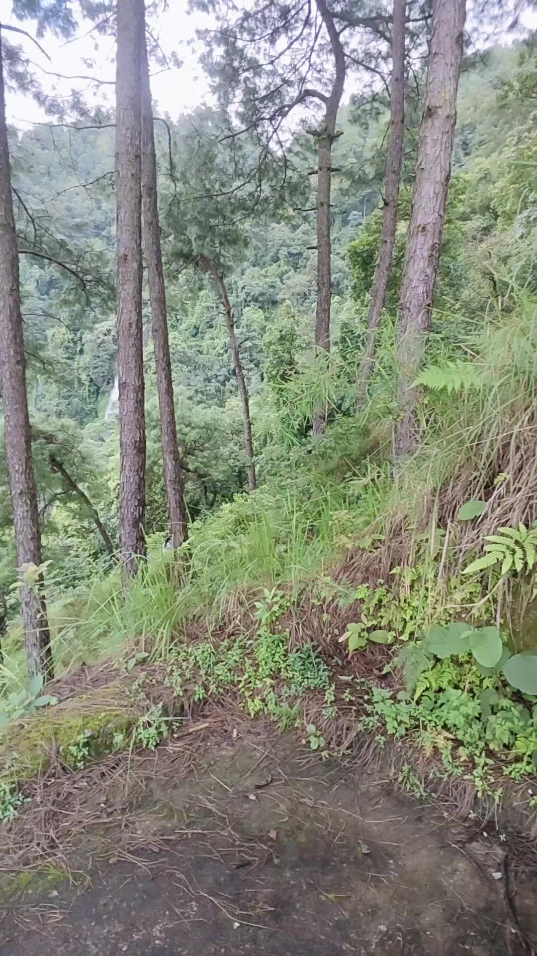 @mangalakandel