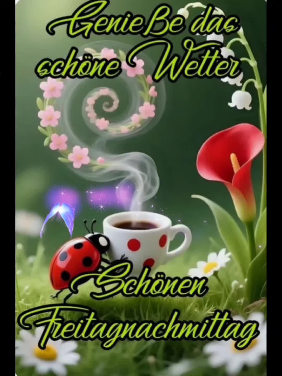 @Helmut Ulbrich797HERRMANN