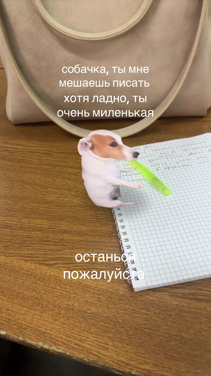 @леся борщ