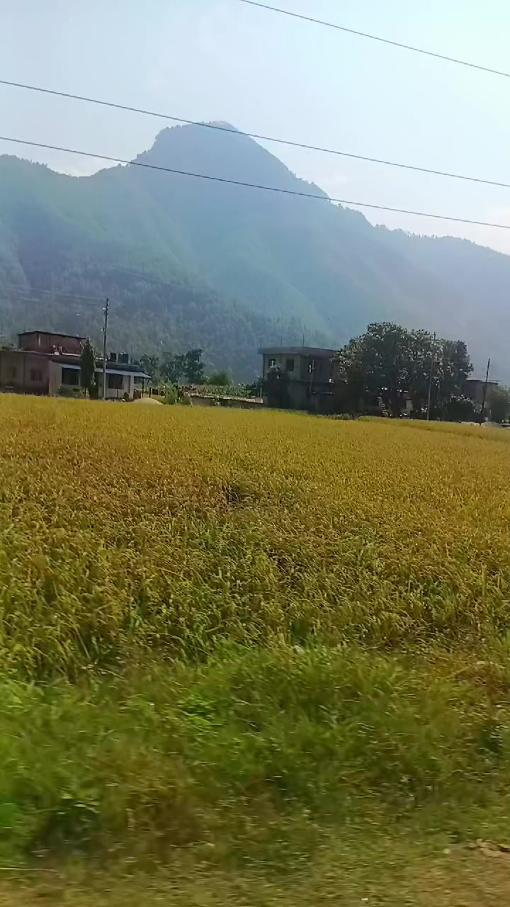 @R.P.N.(Arjun)