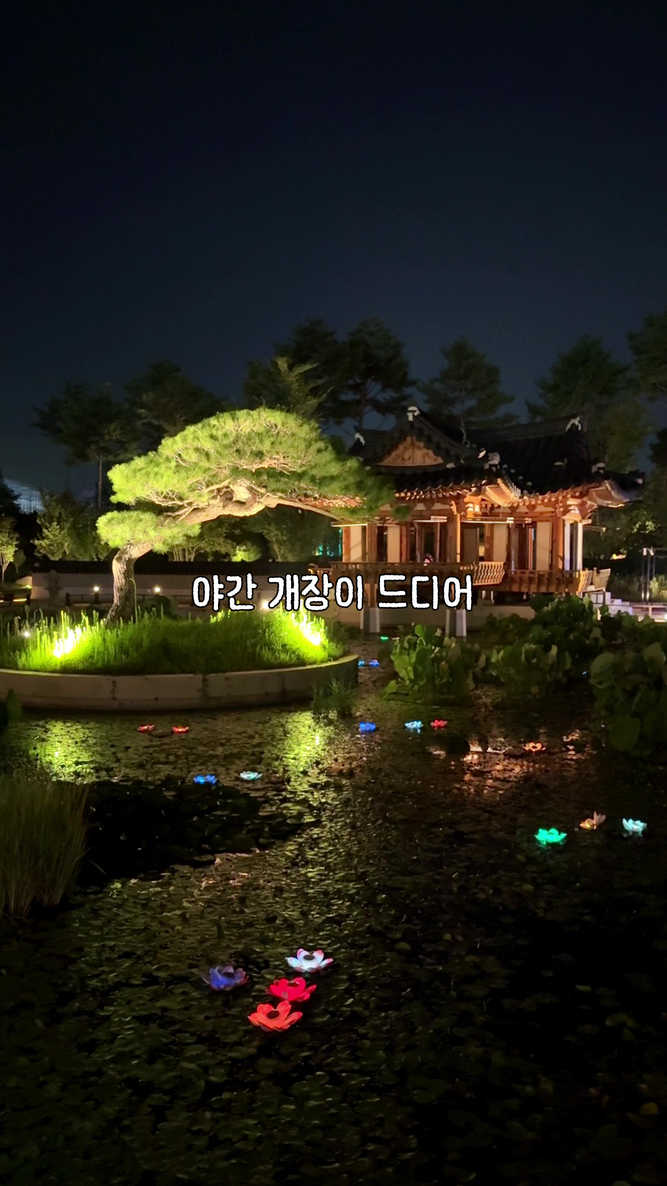 @traveler_jin