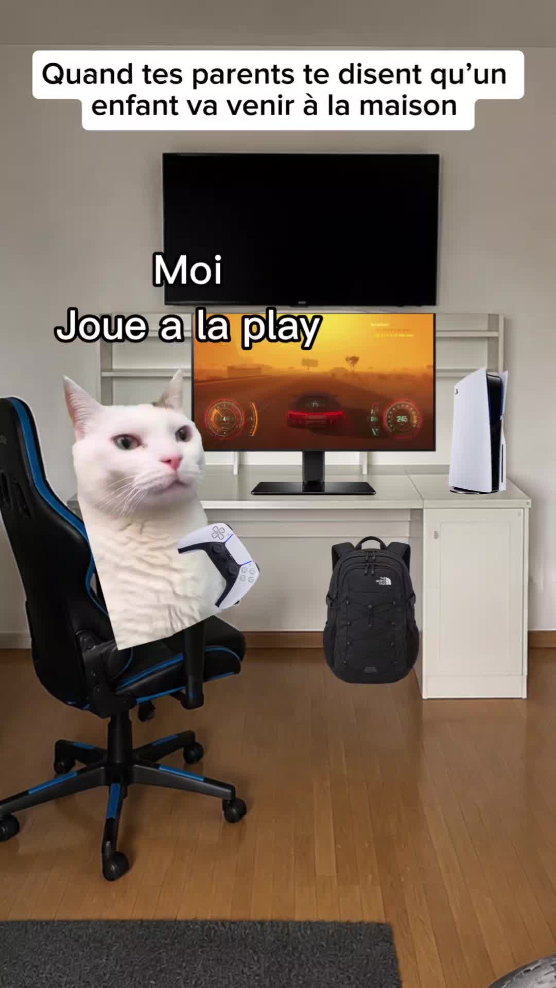 @shorts2chat 😽
