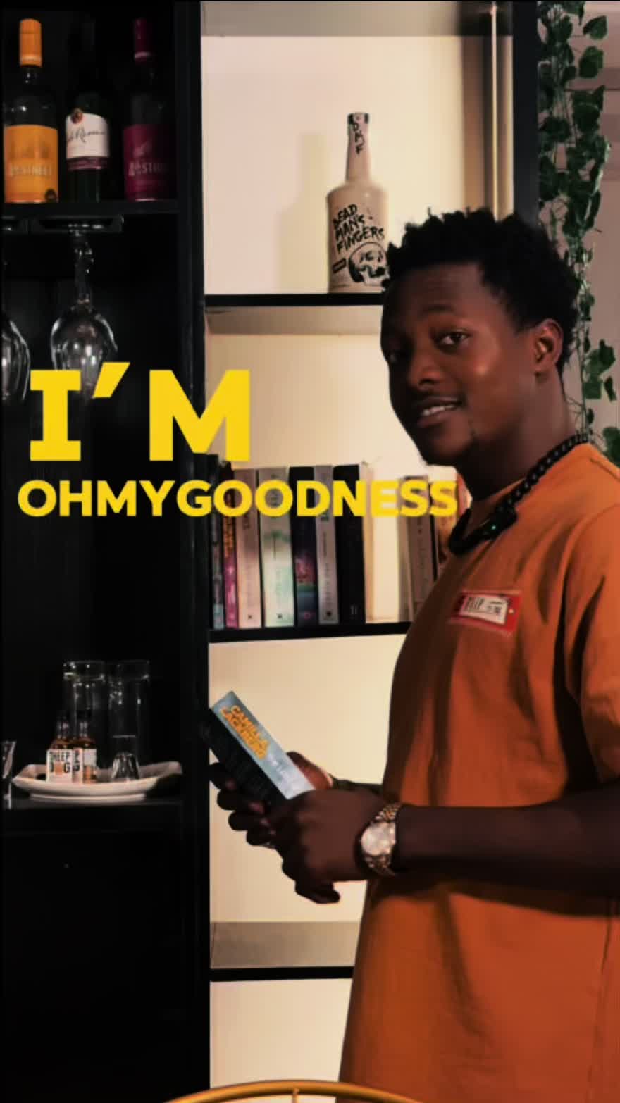 @thevibeoflagos
