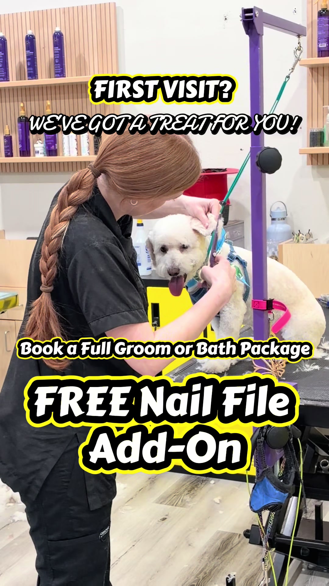 @Well Groomed Queen Creek