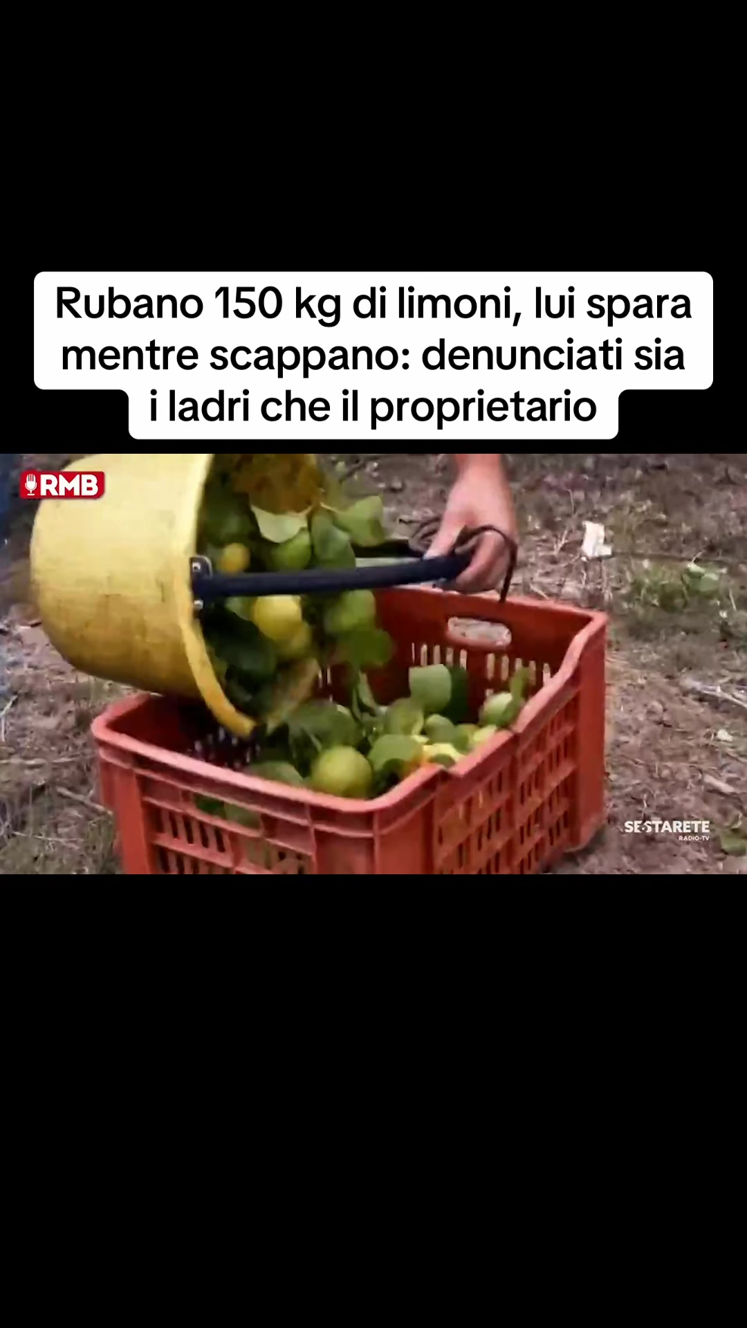@Edoardo Picone | Giornalista