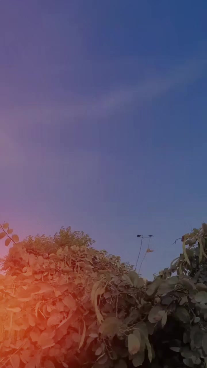 @🔥نمبردار ـ ذیشان ـ وہنیوال 💫