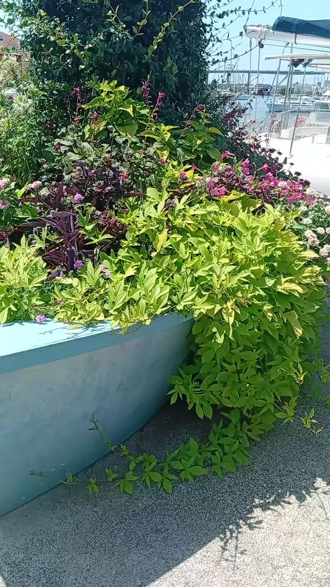 @𝘚𝘶𝘱𝘦𝘳 𝘗𝘩𝘪𝘯𝘰𝘶