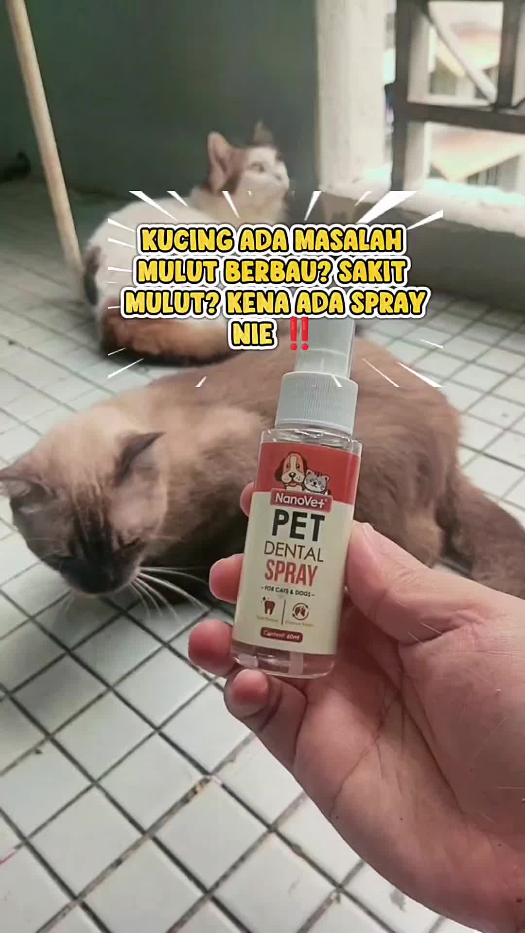 @Norazrena | Racun Tiktok