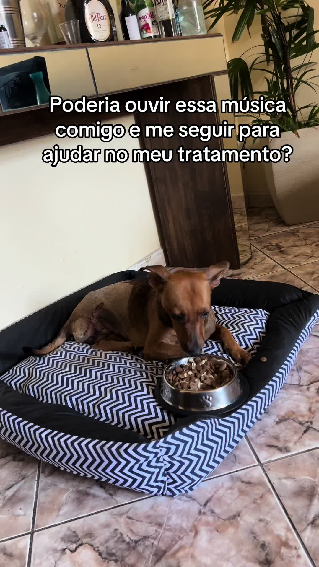 @Lua