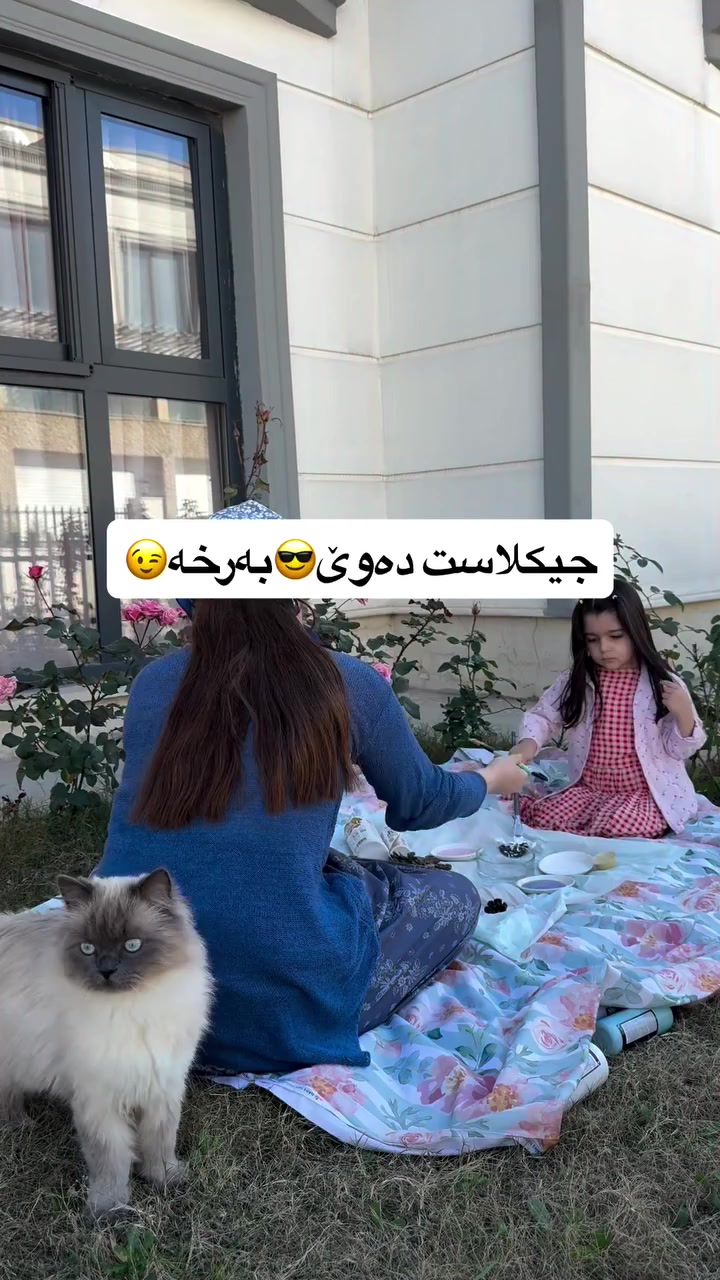 @دایکی هالە