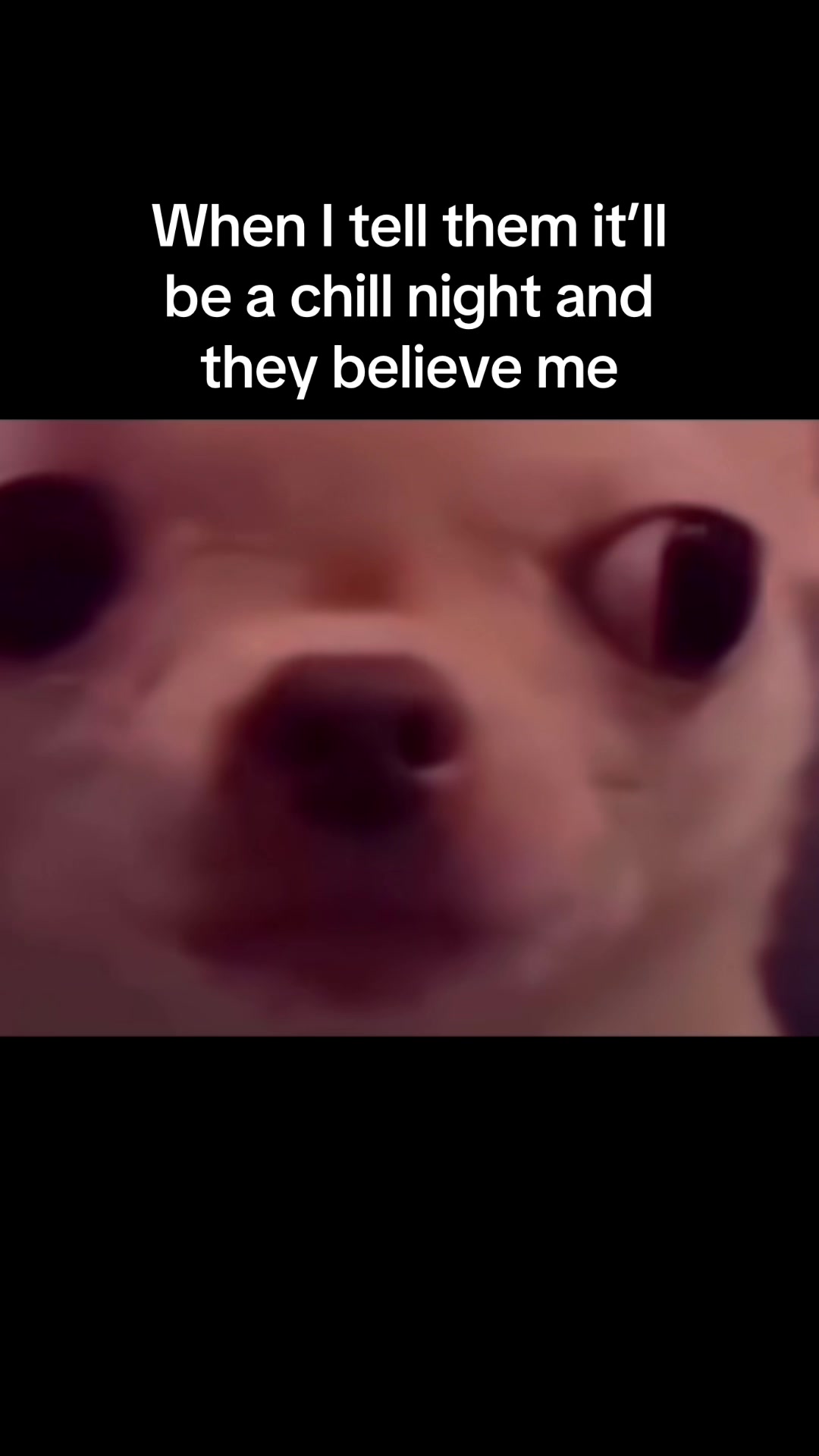 @emilpadil