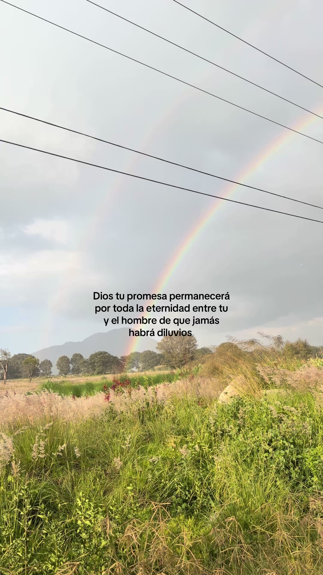 @Silvia Osorio
