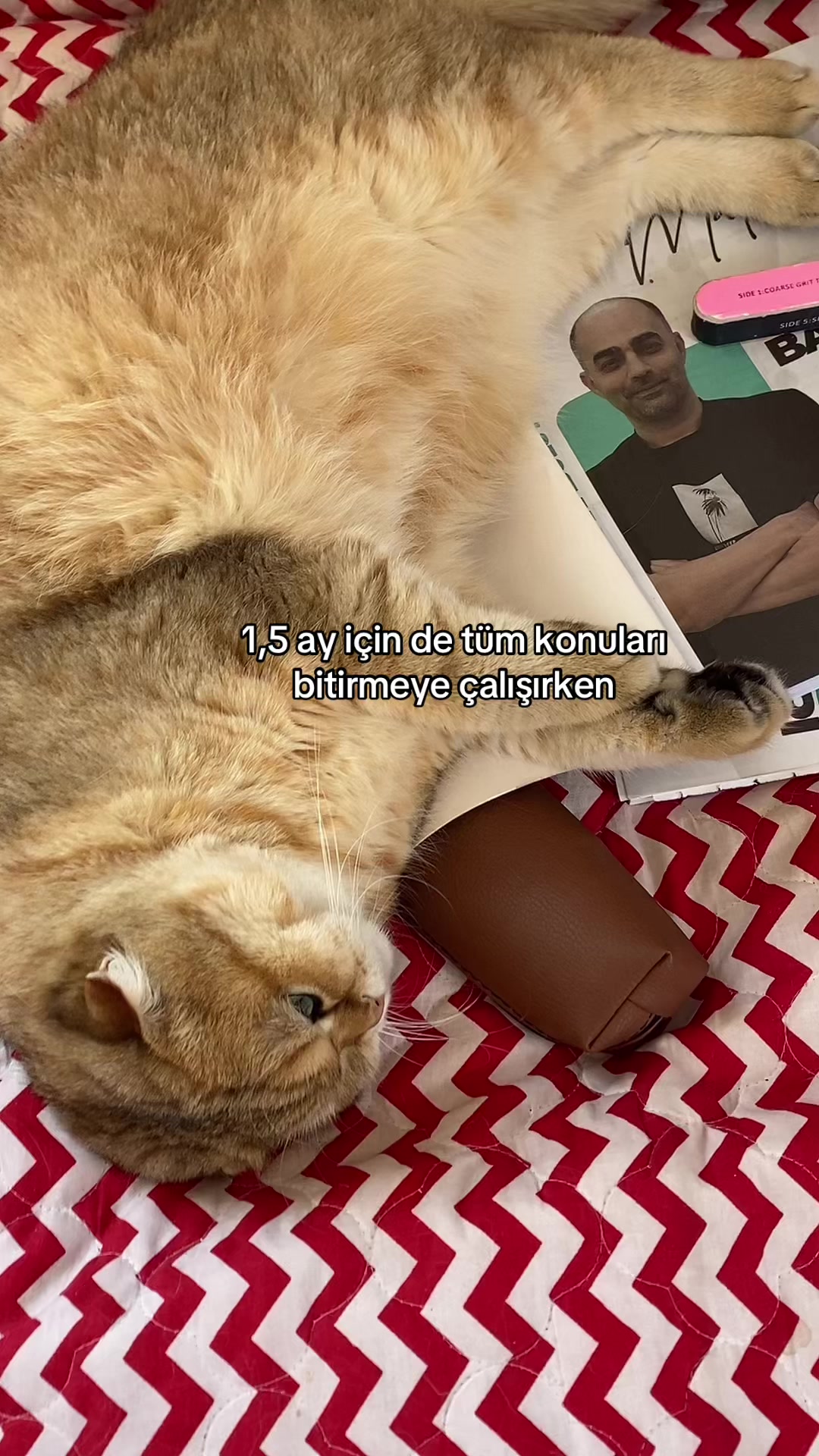 @𝓜𝓮𝓻𝓿𝓮🦢