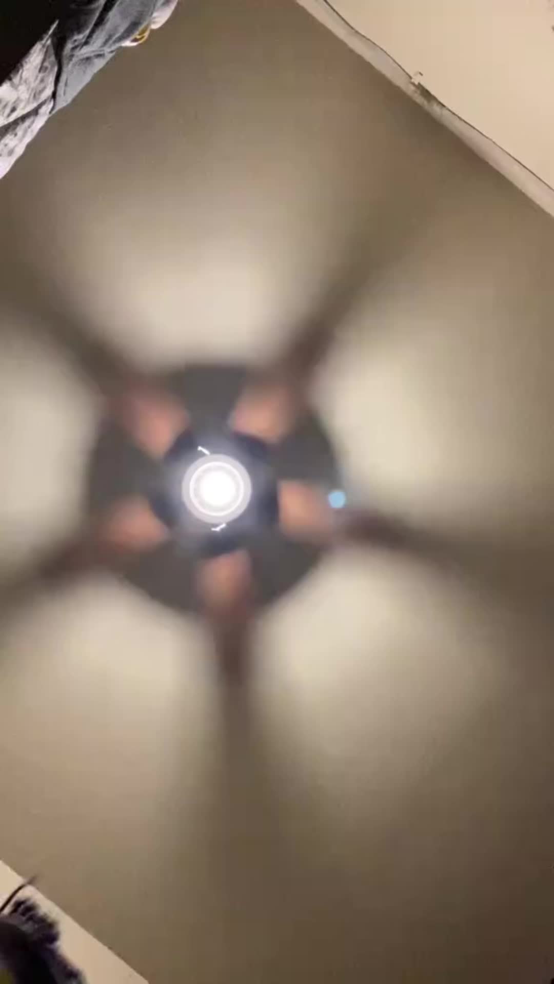 @Shayla