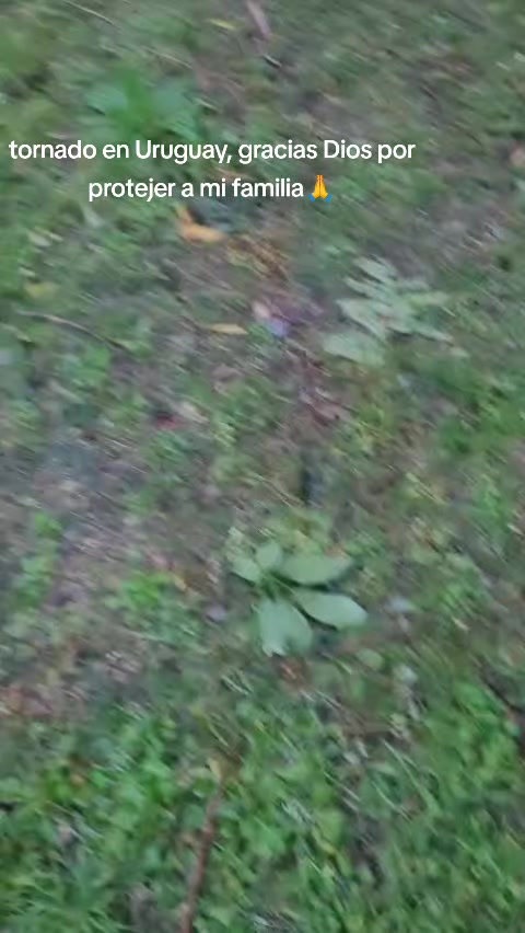 @JORGEVARESI.2