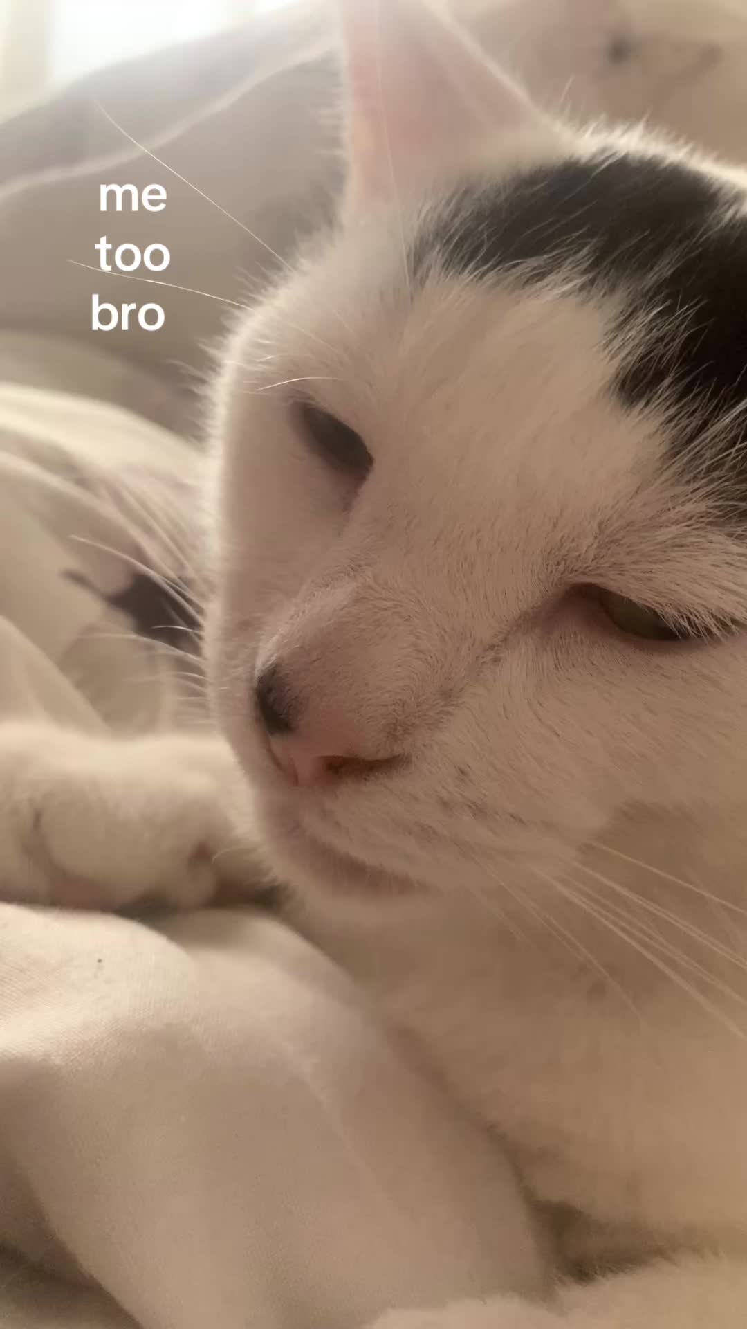 @😛