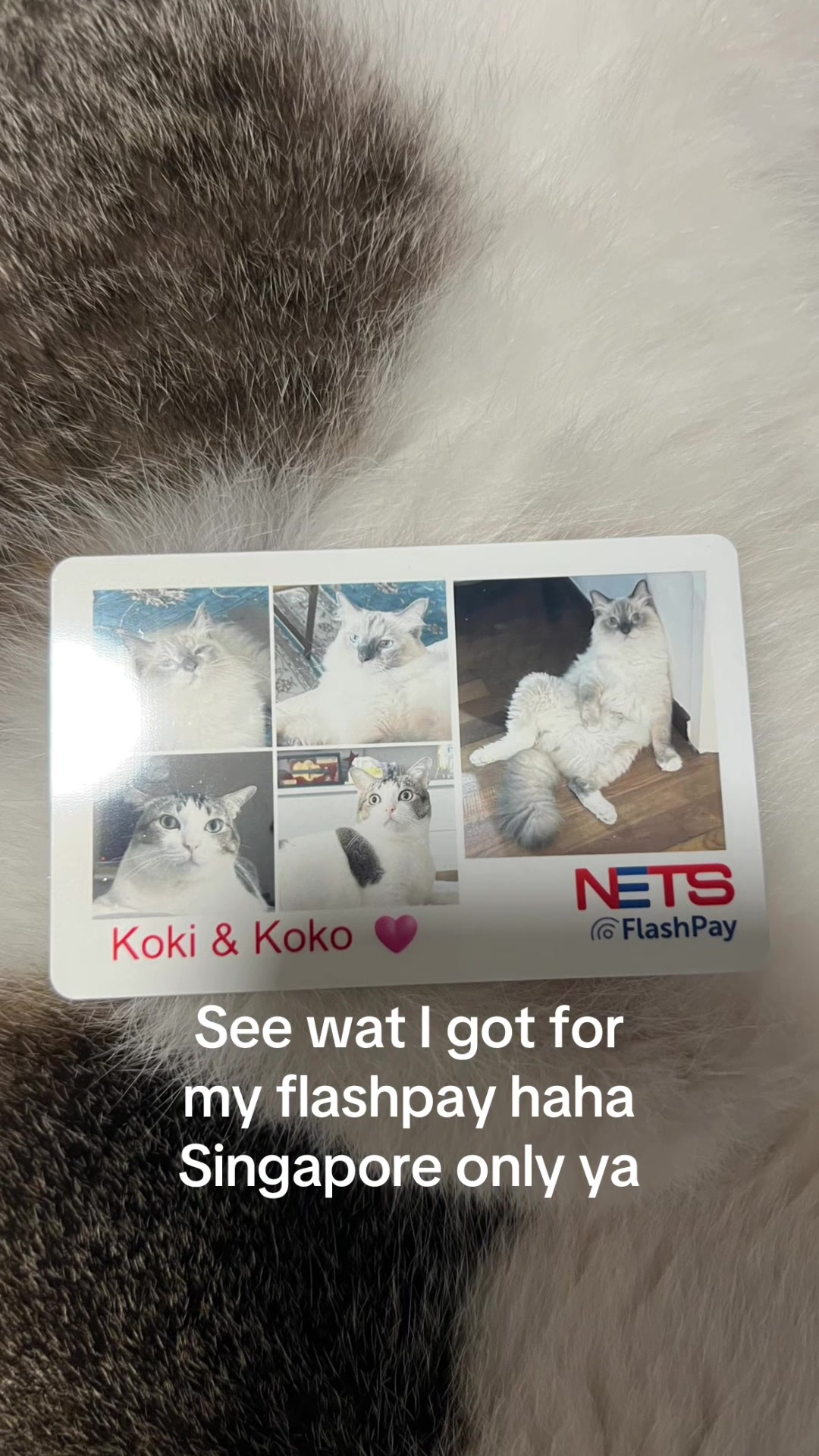 @Kokikoko