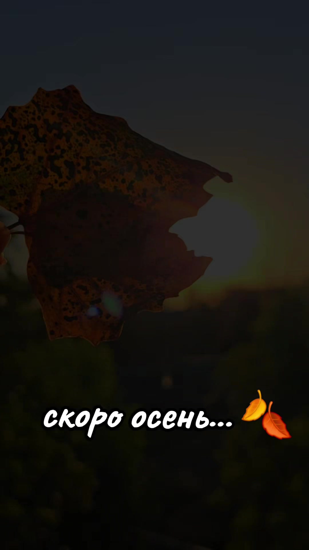 @@Лали_из Донецка