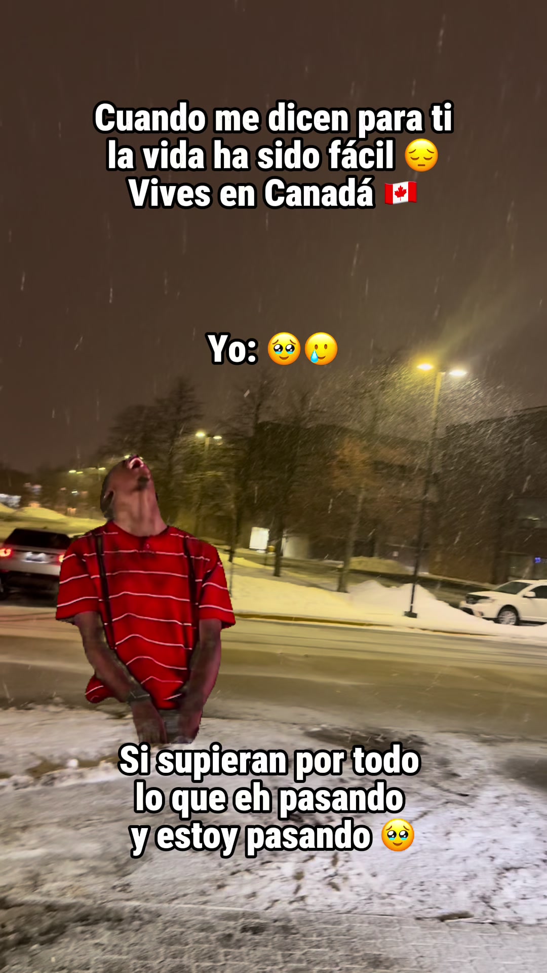 @Lamaracucha_02